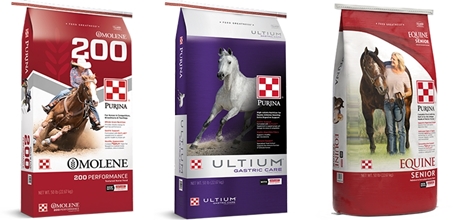 Purina Equine